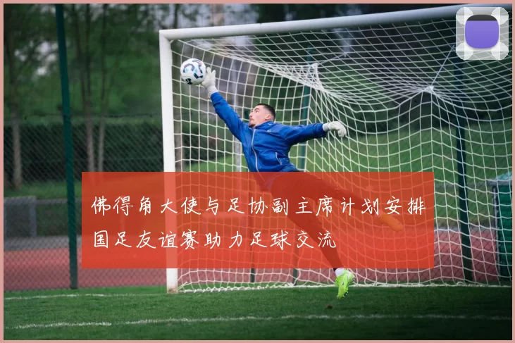 佛得角大使与足协副主席计划安排国足友谊赛助力足球交流